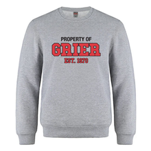 Load image into Gallery viewer, BSS House Crewneck Athletic Grey - Youth