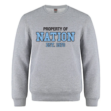 Load image into Gallery viewer, BSS House Crewneck Athletic Grey - Youth