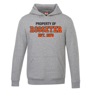 BSS House Hoodie Athletic Grey - Youth