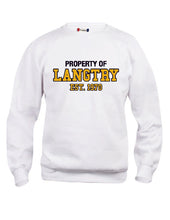 Load image into Gallery viewer, BSS House Crewneck - Youth