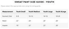 Load image into Gallery viewer, BSS House Sweatpants - Youth