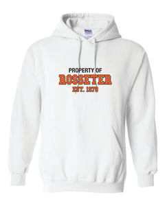 BSS House Hoodie - Youth